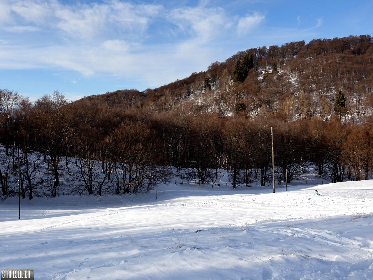 DSC05530.JPG