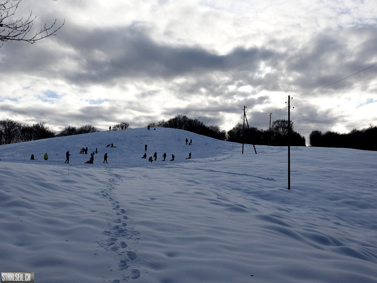 DSC05537.JPG