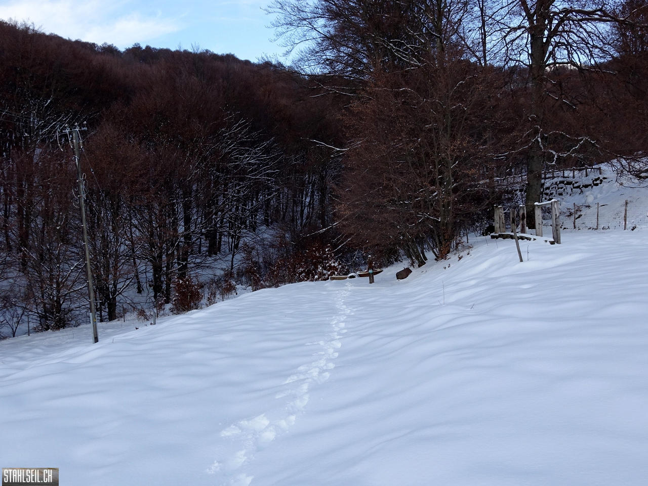 DSC05541.JPG