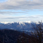 DSC05553.JPG