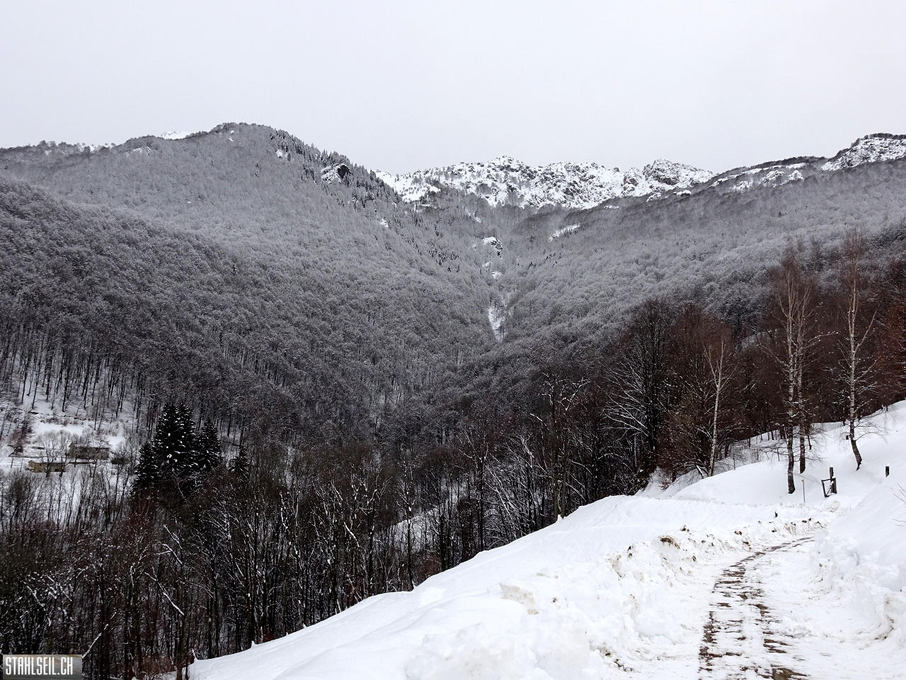 DSC05706.JPG