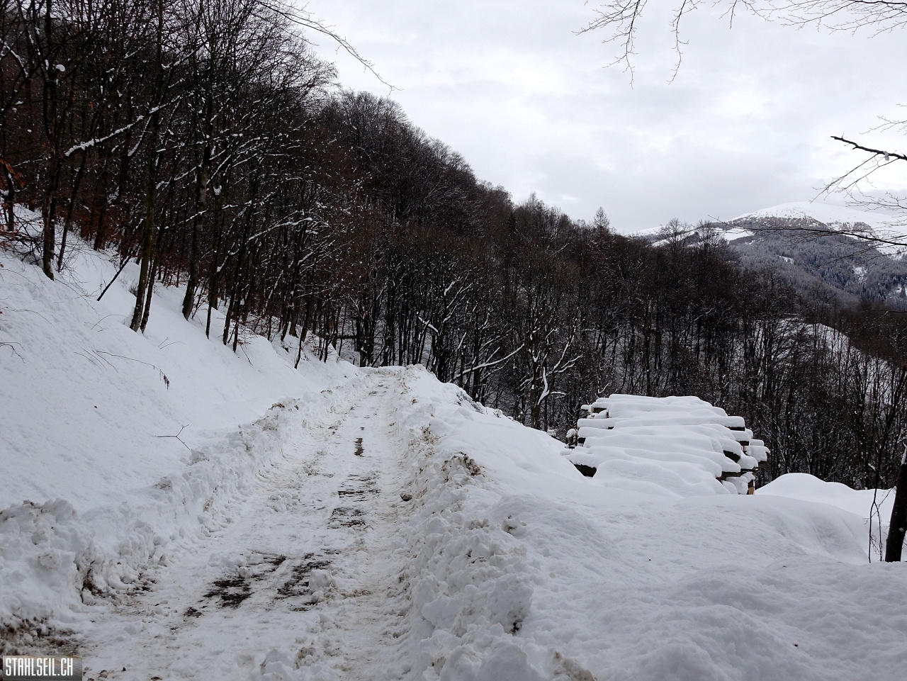 DSC05707.JPG
