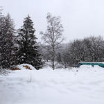 DSC05603.JPG