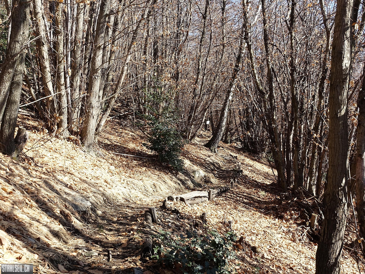 DSC06648.JPG