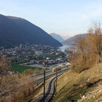 DSC07893.JPG
