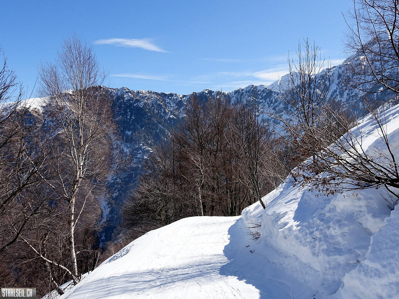 DSC08068.JPG