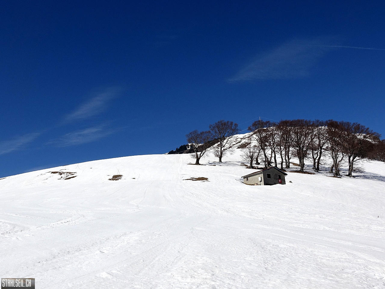 DSC08081.JPG