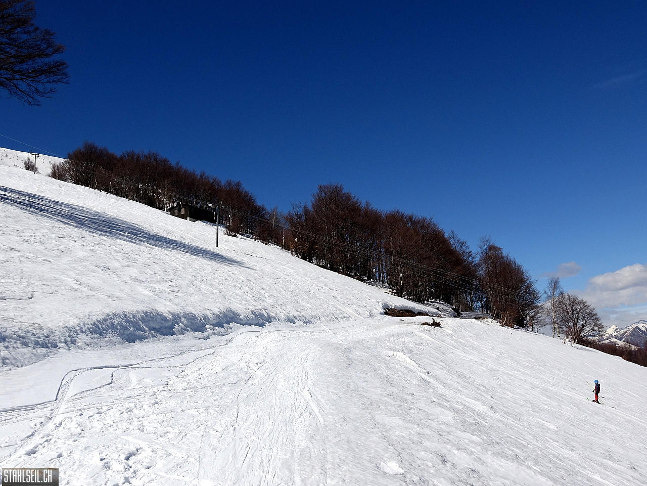 DSC08210.JPG