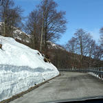 DSC07955.JPG