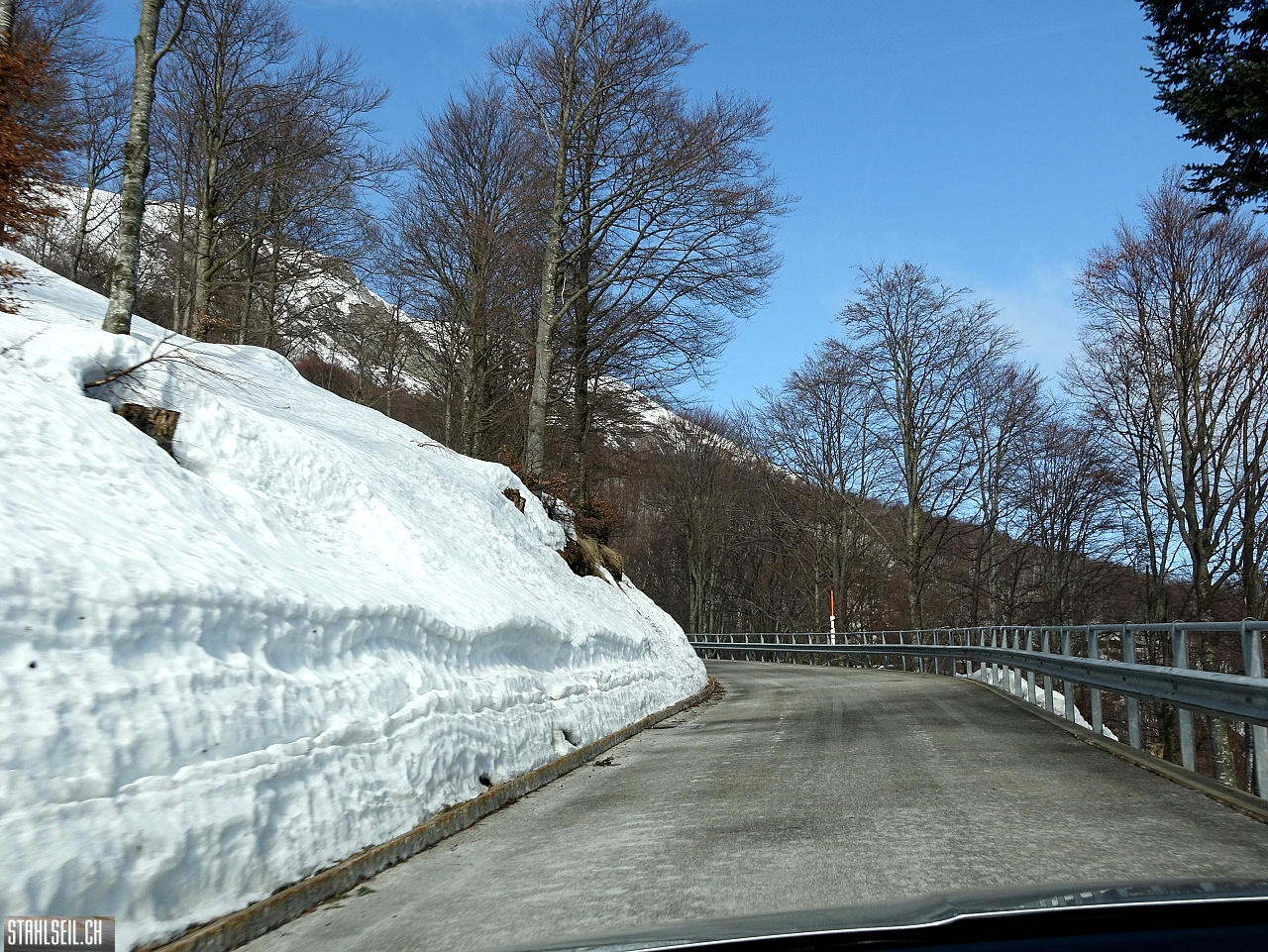 DSC07955.JPG