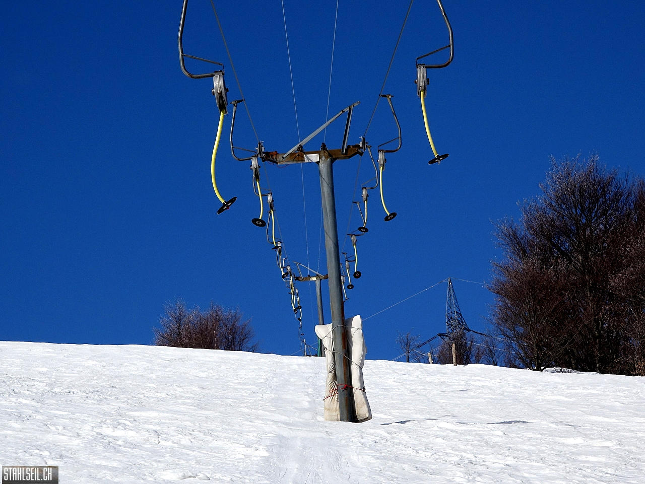 DSC07996.JPG