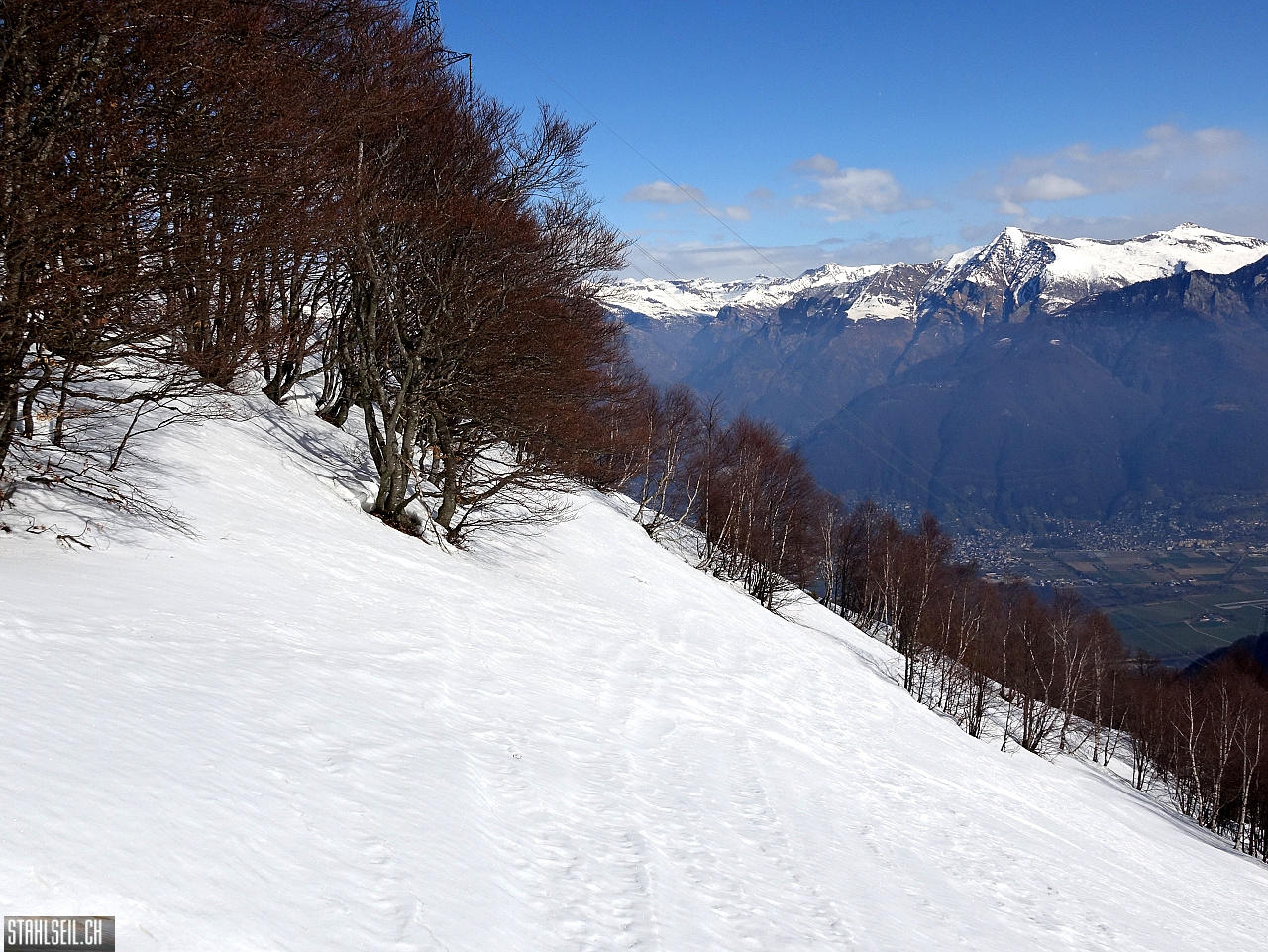 DSC08009.JPG