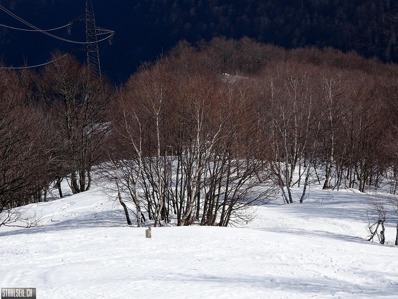DSC08015.JPG