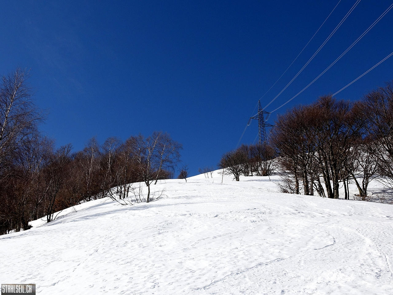 DSC08016.JPG