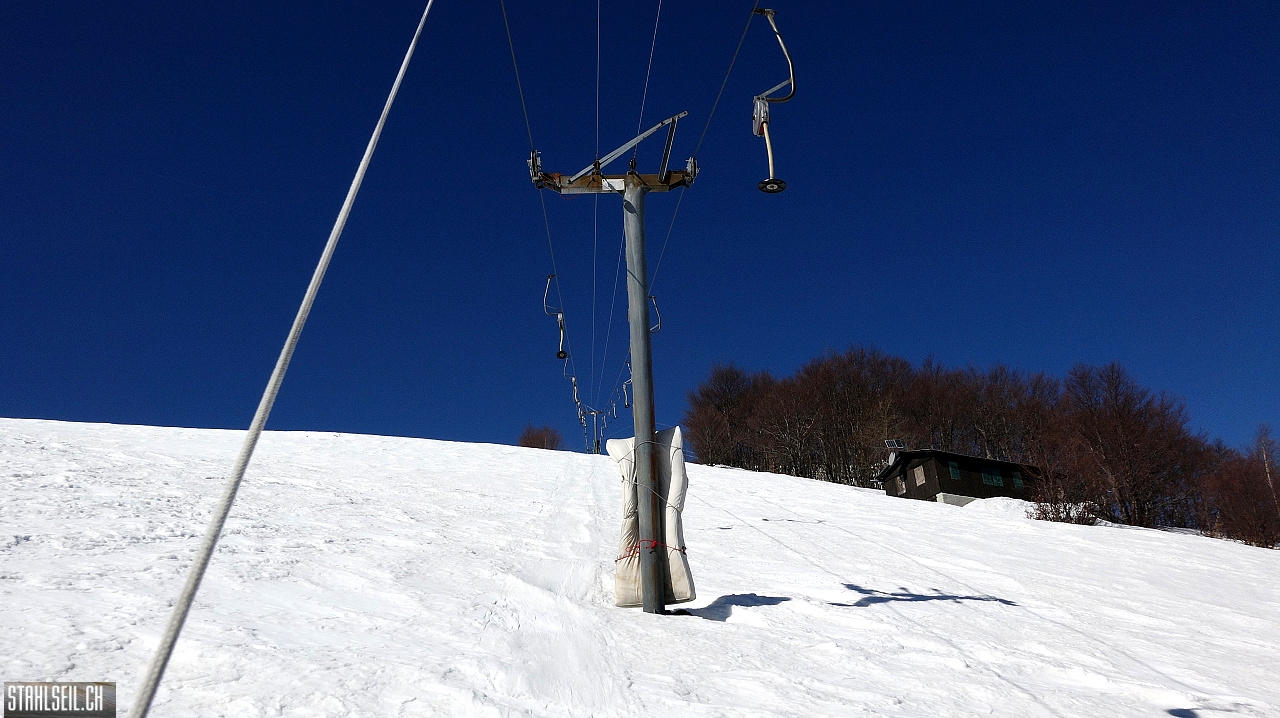 DSC08034.JPG
