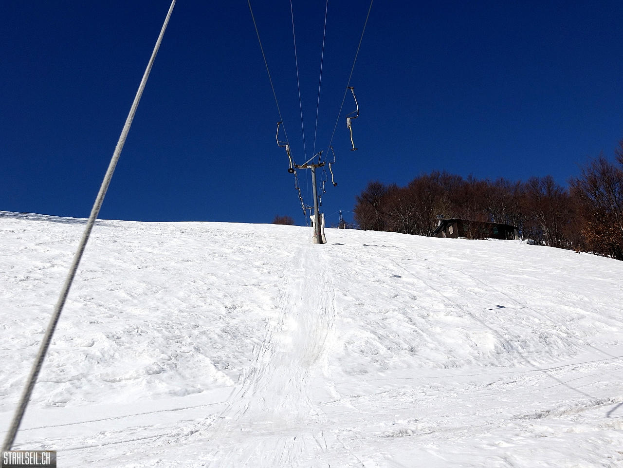 DSC08039.JPG