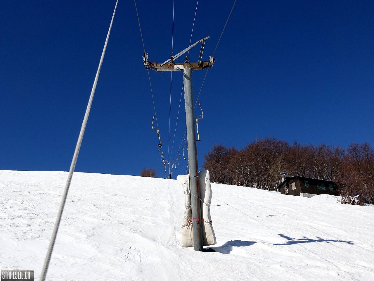 DSC08041.JPG