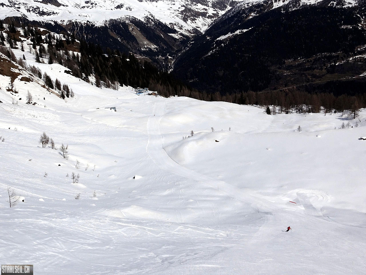 DSC08558.JPG