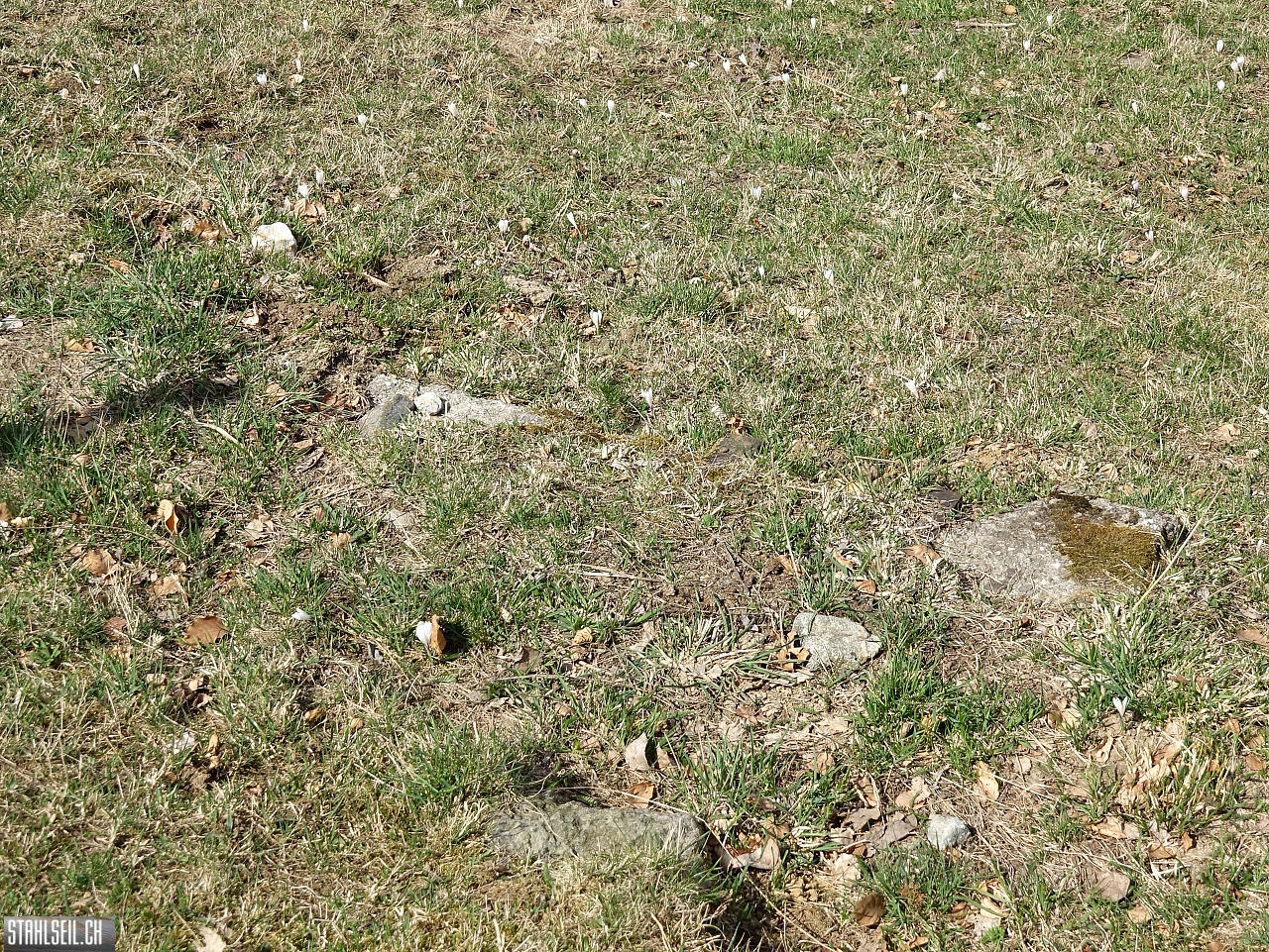 DSC08945.JPG