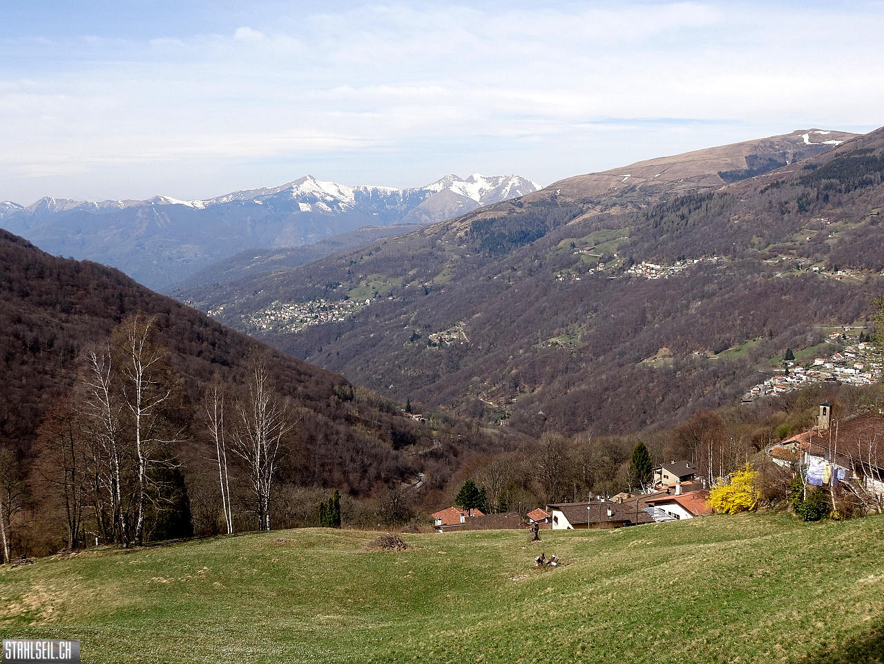 DSC08897.JPG