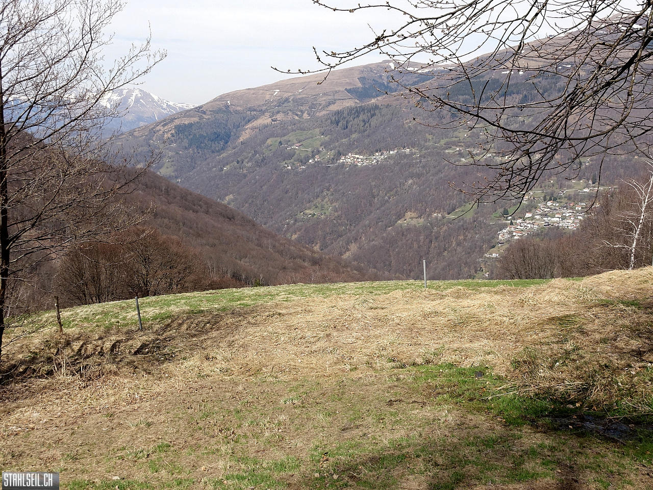 DSC08902.JPG
