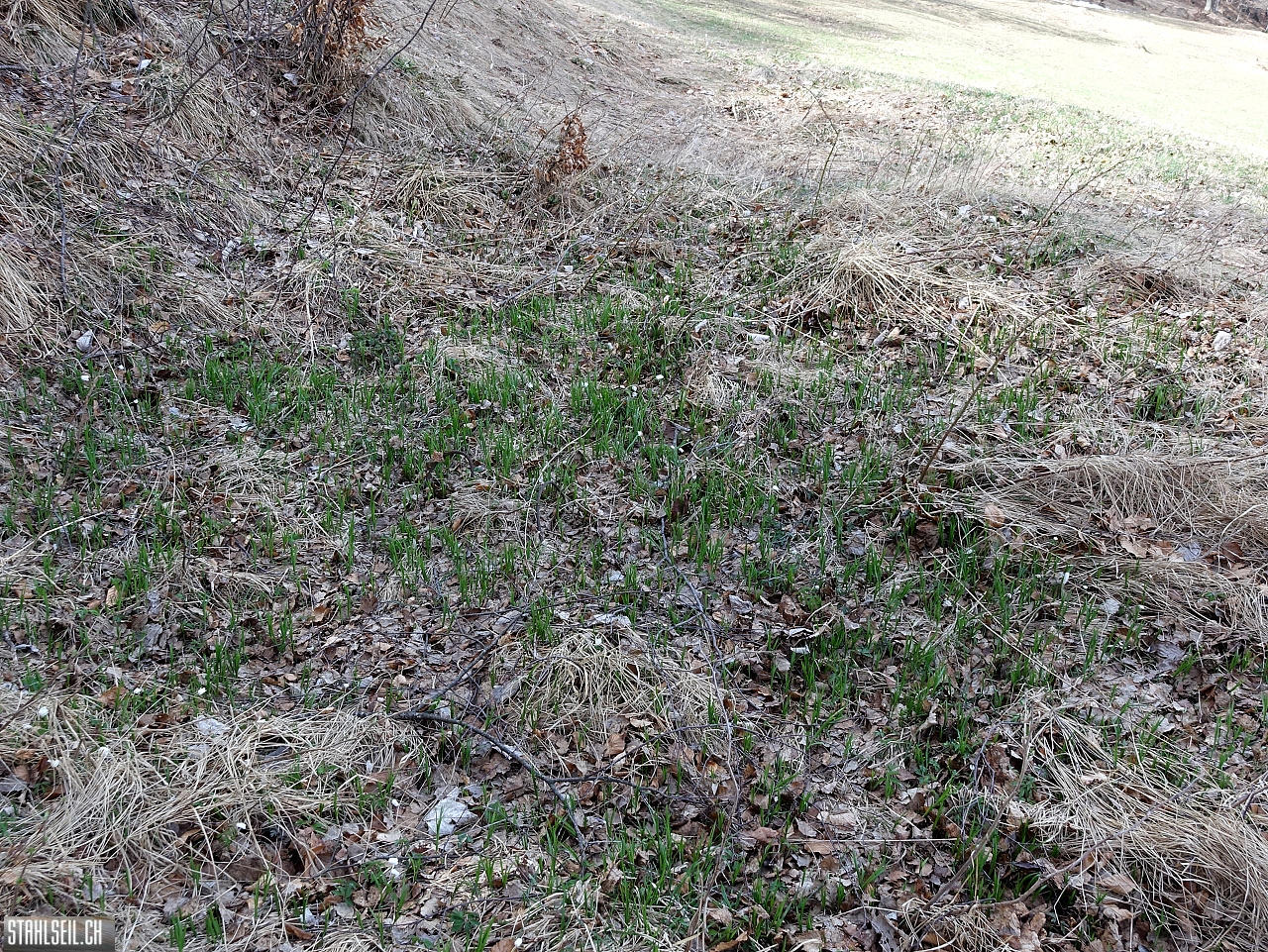 DSC08905.JPG