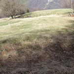 DSC08912.JPG