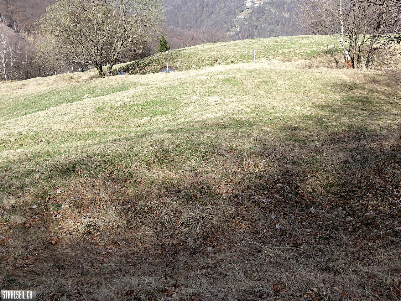 DSC08912.JPG