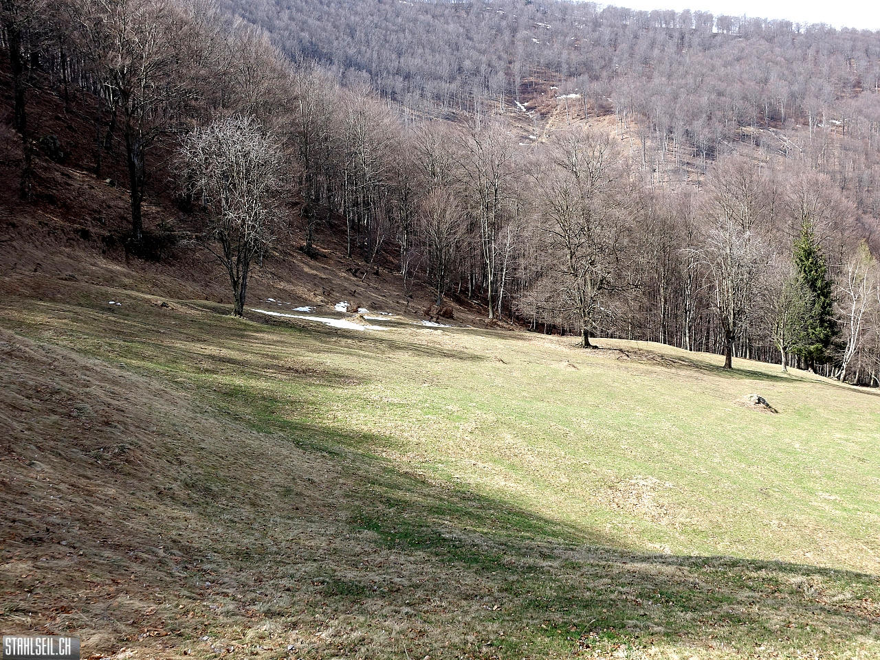 DSC08913.JPG
