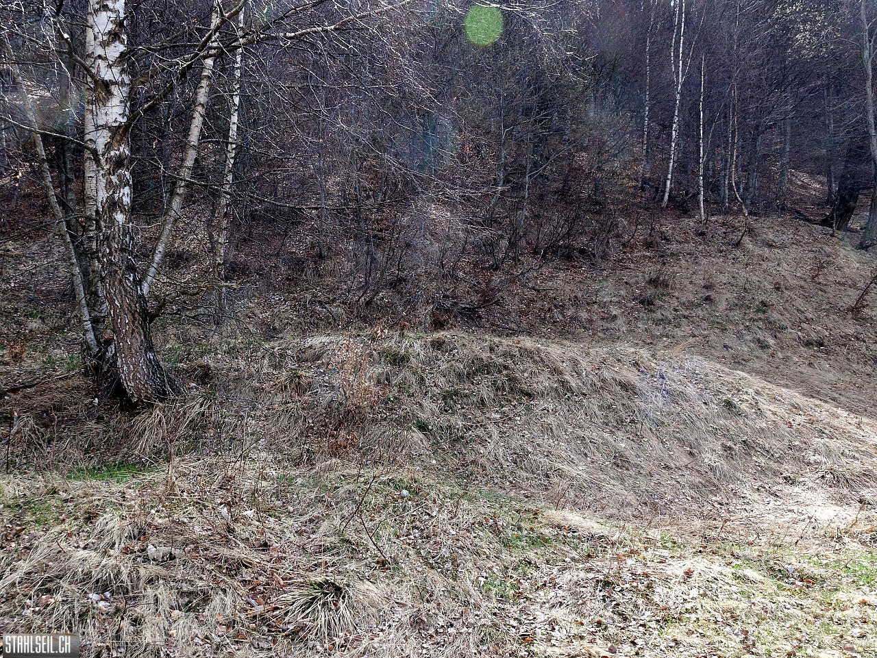 DSC08916.JPG
