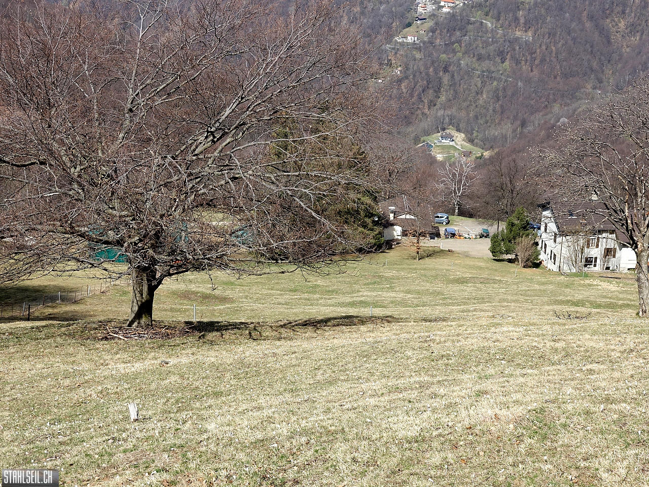DSC08928.JPG
