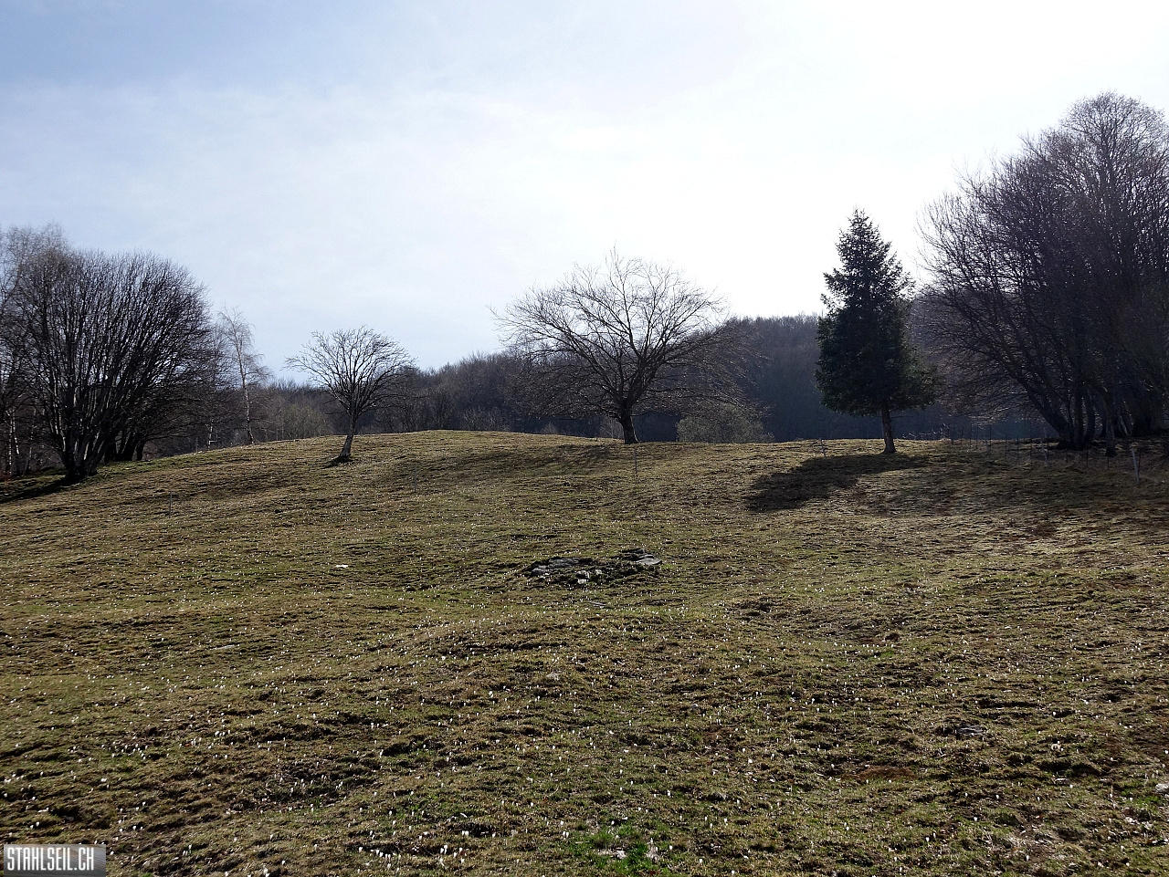 DSC08938.JPG