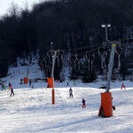 k-DSC01010