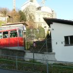 k-P1190036.JPG