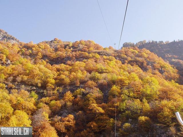 k-PA300438.JPG
