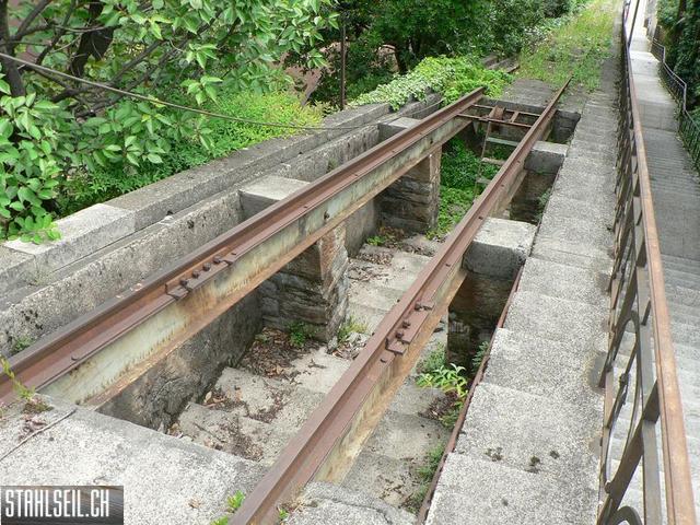 k-P1000866.JPG