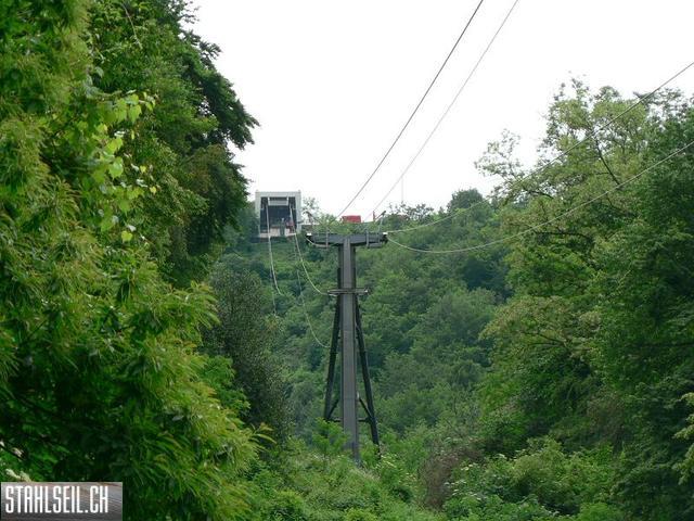 k-P1000648.JPG