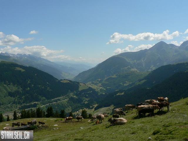 k-P1070991.JPG
