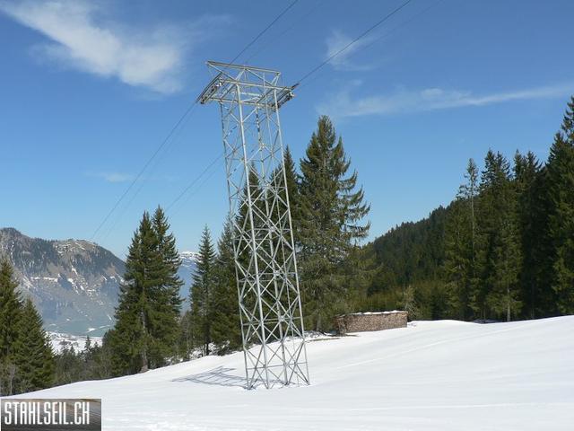 k-P1300594.JPG