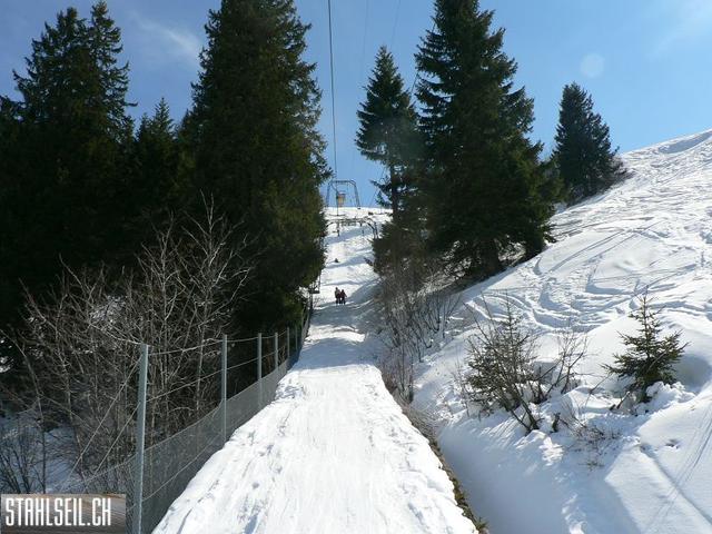 k-P1300650.JPG