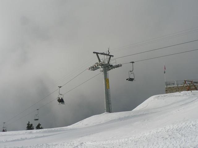 k-P1490185.JPG