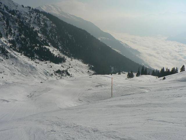 k-P1490257.JPG