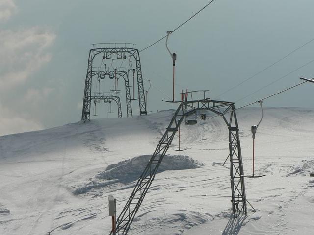 k-P1490289.JPG