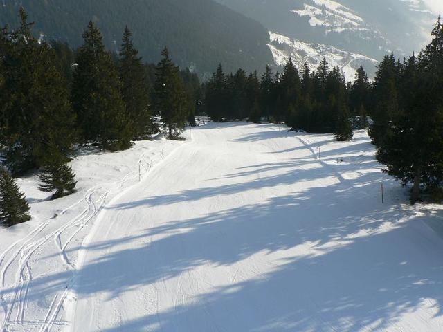 k-P1490342.JPG